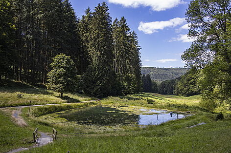 Haseltal Bad Orb 