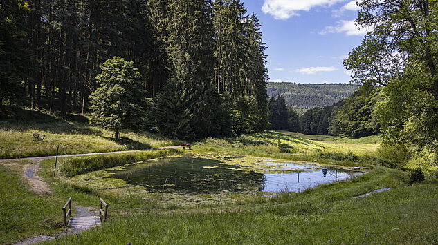 Spessartweg 3