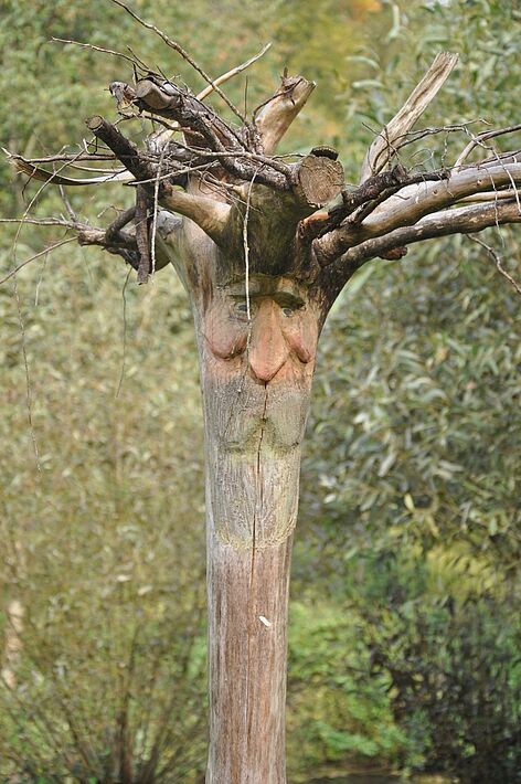 Gut gelaunter Baum im Kreuzgrund