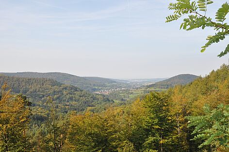 Blick vom Pollasch ins Laufachtal