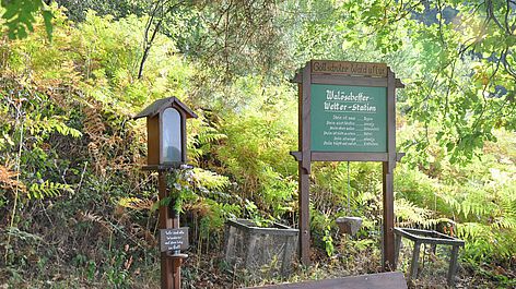 Wetterstation Waldaschaff